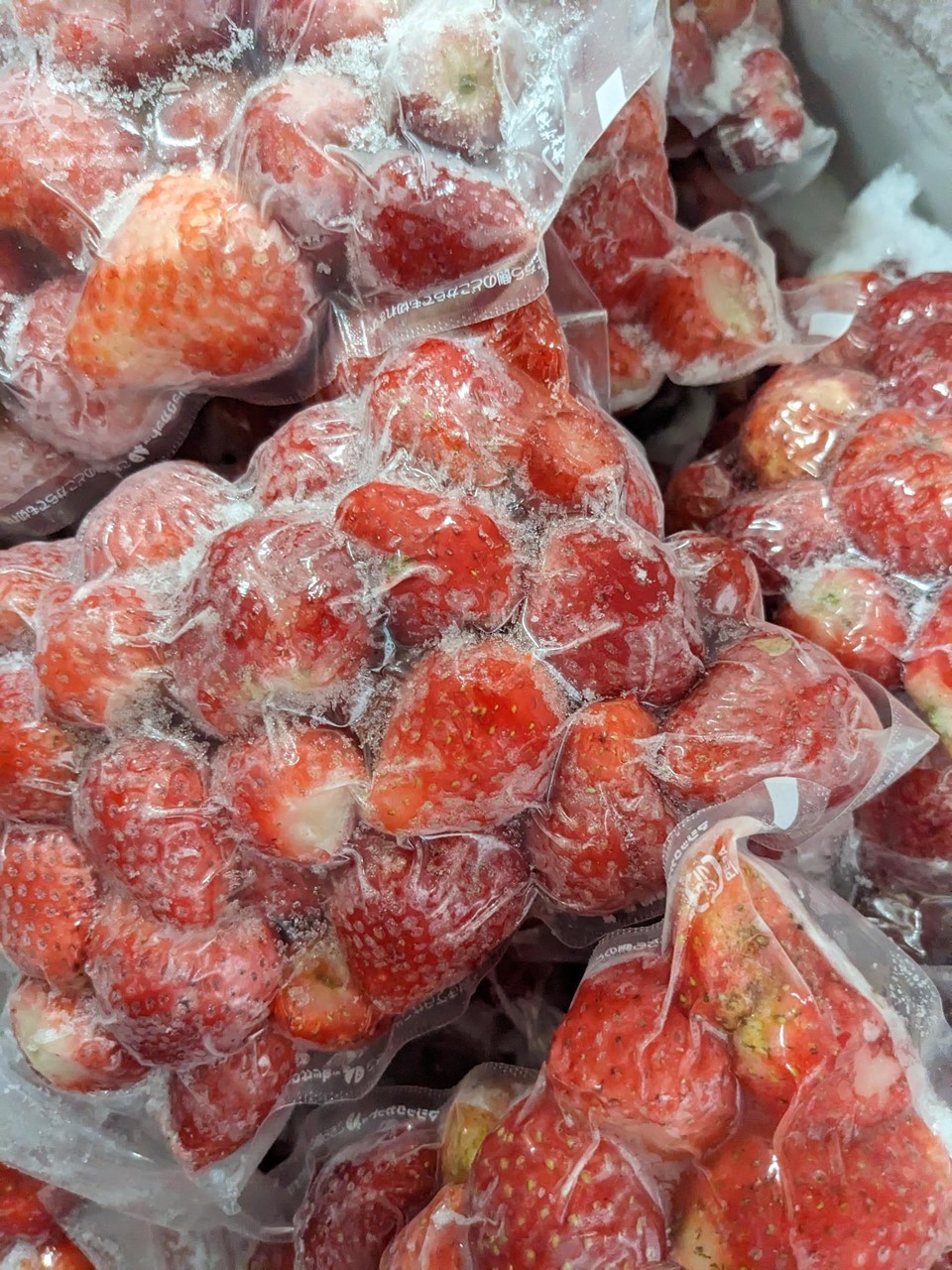 激安通販 冷凍いちご 10kg 果物 - proycontra.com.pe