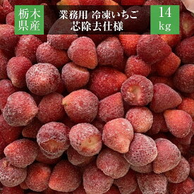 いちご 《 業務用 》 冷凍いちご 品種大きさ色々 14kg 栃木県産 イチゴ 苺 いちご 完熟 国産