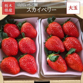 いちご 【山川いちご園】 スカイベリー 1080g 24～36粒（大玉6～8粒×2P)×2箱 栃木県 苺 イチゴ 《1/上旬より出荷》