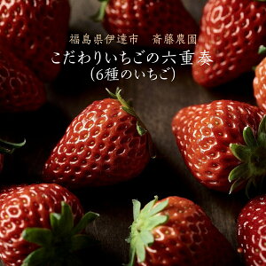  y֓_z6 Hה 䂤₯x[ gق ƂƂ ӂ͂鍁 Cx[ ^g̔ (15 300g)×2P ̓ ɒBss2/{`2/{oׁt