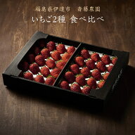 いちご 【斎藤農園】2種類 食べ比べ (15～20粒 300g)×2P 福島県伊達市 《2/上旬～2/中旬より出荷》
