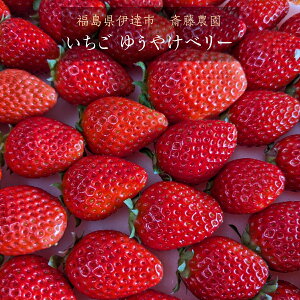  y֓_z䂤₯x[ (15`20 300g)×2P ɒBs s2/{`2/{oׁt