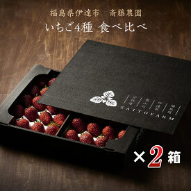 いちご 【斎藤農園】4種 食べ比べ (15～20粒 300g)×4P 母の日 福島県伊達市 《2/上旬～2/中旬より出荷》