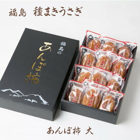 干し柿 【種まきうさぎ】 五十沢 あんぽ柿 約900g 12個 化粧箱 福島県伊達 干柿《12/下旬より出荷》