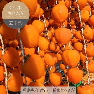 ` y܂z ܏\ ۊ` 600g TCY12O ƒp ɒBs12/15`12/{oׁt