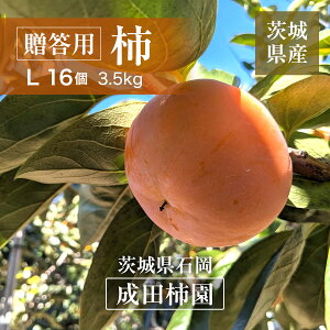 柿 甘柿 【成田柿園】 やさとの柿 富有柿・次郎柿等 3.5kg L 16個 茨城県石岡市 《11/上旬〜11/中旬より出荷》