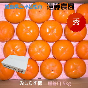 ` y_z݂炸` R` 5kg 5L 12 G p  s11/{`12/{oׁt