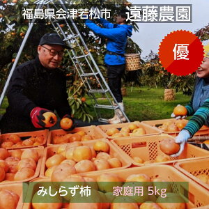 ` y_z݂炸` R` 5kg TCYC D ƒp  s11/{`12/{oׁt