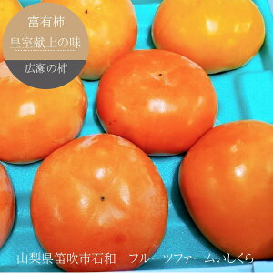 ` Ê` yt[ct@[z xL` c̖ L̊` 1.5kg 2L 6 G p RJs Ȃ s10/{`11/{̏oׁt