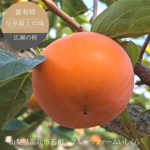 ` Ê` yt[ct@[z  xL` c̖ L̊` ϔ3kg 3L 8`9 G p v[g RJs Ȃ s10/{`11/{̏oׁt