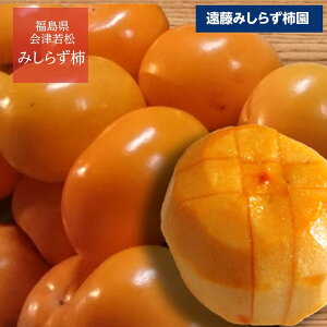 ` y݂炸`z ݂炸` i gsm` j 2.5kg 2L 10  s11/`12/{oׁt