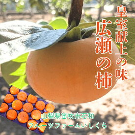 柿 甘柿 【フルーツファームいしくら】 富有柿等 皇室献上の味 広瀬の柿 4kg L 18 個 山梨県笛吹市 種なし かき《10/下旬～11/上旬の出荷》
