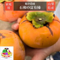 楽天市場】無農薬 富有柿の通販 無農薬 自家製 柿 甘柿