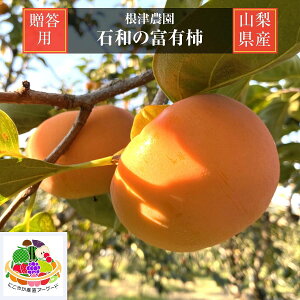 ` Ê` yÔ_z xL` Θå` 1.2kg L 5 p RJs Ȃ s10/{`11/{̏oׁt