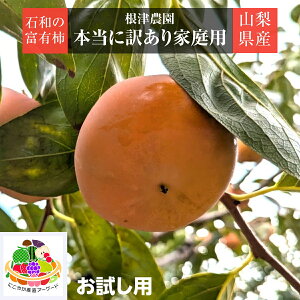 ` Ê` yÔ_z xL` Θå` 2kg {̖󂠂i p RJs Ȃ s10/{`11/{̏oׁt