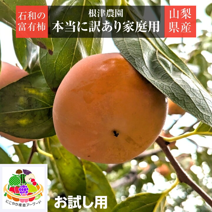 楽天市場】柿 甘柿 【根津農園】 富有柿 石和の柿 約2kg 本当の訳あり 