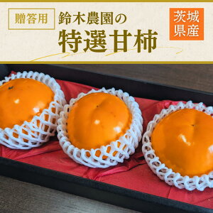 �` �Ê` �y�Ή� ��ؔ_���z �����̊` ���I 4L�ȏ� 3�� 1kg �i�킨�C�� ��錧�Ή��s �s10/���{�`10/���{�̏o�ׁt