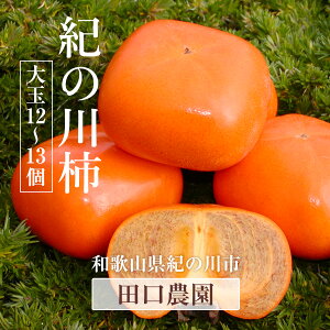 ` yc_z Im` I̐` 3.75kg 12`13  p a̎RI̐s s10/{`10/{oׁt