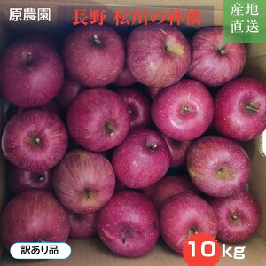 りんご 【原農園】 リンゴ サンふじ 訳あり 家庭用 10kg 長野県 松川町 《12/上旬〜12/中旬より出荷》