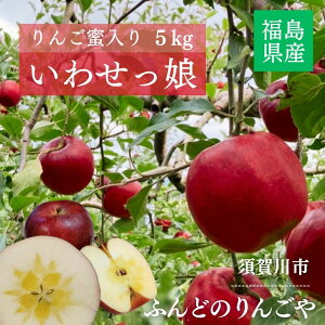  yӂǂ̂񂲂z IWii 킹 5kg 16`18 { s12/{`12/{̏oׁt