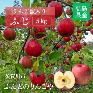りんご 【ふんどのりんごや】 ふじ 5kg 16〜18個 福島県須賀川 《1/上旬〜1/下旬の出荷》