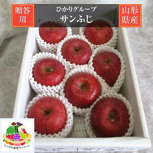 りんご 【ひかりグループ】 サンふじ 約3kg 8〜12個 贈答用 山形県 《12/上旬〜12/中旬より出荷》