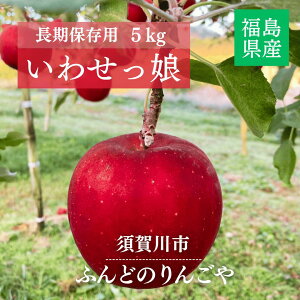 りんご 【ふんどのりんごや】 オリジナル品種 いわせっ娘 蜜無し 長期保存用 5kg 16〜18個 福島県須賀川 《1/上旬〜1/中旬より出荷》