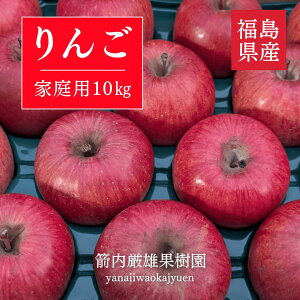  yYʎz S ƒp 10kg {ss11/{`12/{oׁt