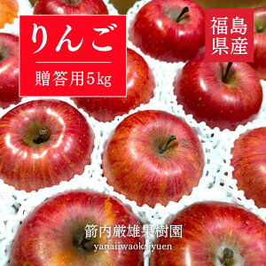  yYʎz S p 5kg 15`16 {ss11/{`12/{oׁt