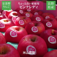りんご 【信州安曇野 米山農園】 小玉りんご ピンクレディ ちょっと良い家庭用 2.5kg 10～15個 長野県安…