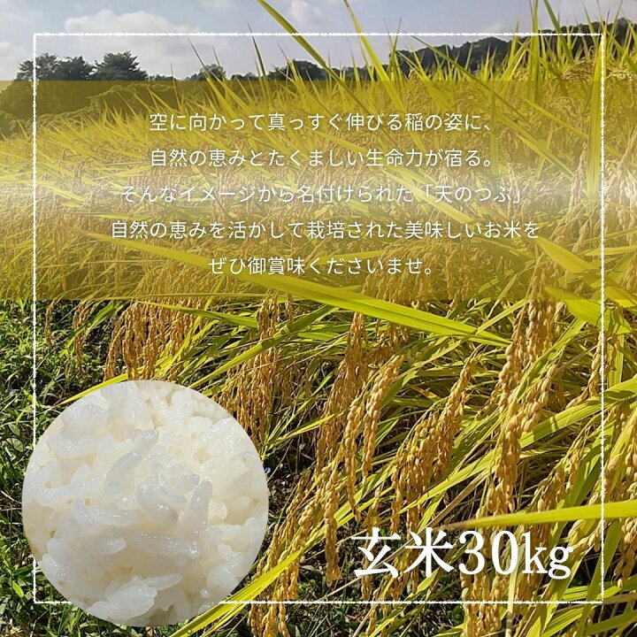 楽天市場】米 【おおひがし稲作研究会】 天のつぶ 玄米 30kg 白米精米 