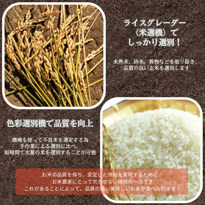 楽天市場】米 【エムズアグリ】 にじのきらめき 虹の煌めき 玄米 30kg 