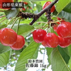 �������� �y��ؔ_���z ������ 1kg L�`2L ���� �R�`�������s �s6/���{�`6/���{�̏o�ׁt