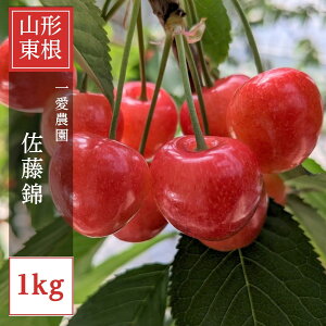 �������� �y�ꈤ�_���z ������ 1kg �G L �R�`�������s�s6/���{�`6/���{�̏o�ׁt