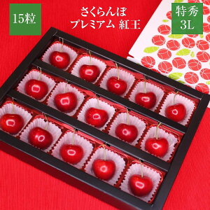 �������� �y�X�~���ʎ����z �g�� ���G 3L 15�� �v���~�A�� �R�`���s6/���{�`6/���{�̏o�ׁt