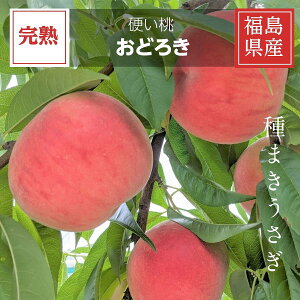 �� �y��܂��������z�d�� ���ǂ낫 5kg�i13�`18�j ���� �������ɒB�s �s8/10�`8/20�̏o�ׁt