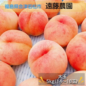 �� �y�����_���z ���� 5kg ��� 14�`18�� �i��F�X ���� ������ ��� �s7/���{�`8/��{����o�ׁt