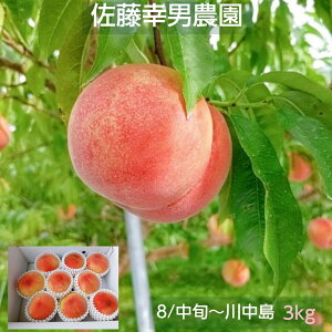 �� �y�����K�j�_���z ���� �쒆�� 3kg 9�`12�� �����p �v���[���g������ �s8/���{�`8/���{�̏o�ׁt