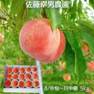 �� �y�����K�j�_���z ���� �쒆�� 5kg 13�`16�� �����p �v���[���g ������ �s8/���{�`8/���{�̏o�ׁt