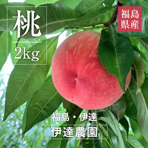 �� �y�ɒB�_���z �i�킨�C�� �Ő� ������ �쒆�� 2kg 5�`8�� ���� ������ �ɒB�s �s7/���{�`7/���{���o�ׁt