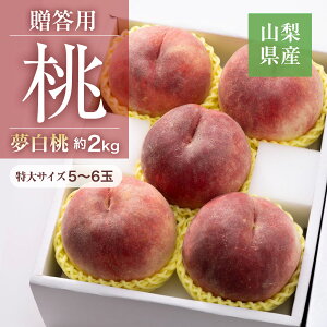 �� �y�}���T�t���[�c�z ���� �R����{�Y �v���~�A�� ������ ���x13.5�x�ȏ� ���� 2kg 5�`6�� ������ �䒆�� �R�����J���s �s6/���{�`7/��{���o�ׁt