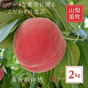 �� �y���V�_���z ���� ���� �t�����̓� 2kg ���� 6~7�� ������ �䒆�� �R�����J���s �s6/���{�`7/��{���o�ׁt