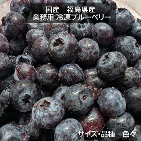 国産 冷凍ブルーベリー 加工用 業務用 農薬不使用 3.2kg 福島県 冷凍 フルーツ 果物 ブルーベリー