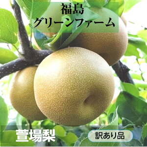  yO[t@[z ꗜ 󂠂 ƒp 5kg 9`20  s a s8/{`9/{oׁt