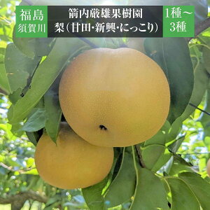  yYʎz Ñ V ɂ 1`3 3kg 6`7 {s s11/{`11/{oׁt