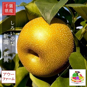  y AE[t@[ z ̗ V V 5kg 5`12 p 낢̗ tss9/{`10/{oׁt