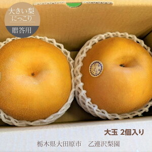  y A򗜉 z傫 ɂ 1.8kg (900g×2) p v[g Ȗ، s10/{`10{oׁt