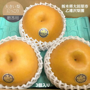  yA򗜉z傫 ɂ TCY 2.5kg (800g×3) p Ȗ، s10/{`10{oׁt