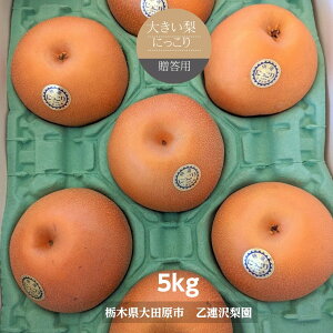  y A򗜉 z傫 ɂ 5kg 6`8 p v[g Ȗ، s10/{`10{oׁt