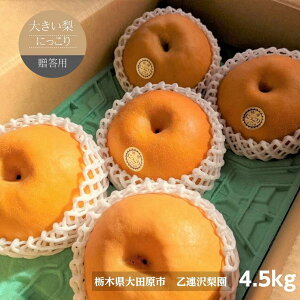  y A򗜉 z傫 ɂ 4.5kg (900g×5) p v[g Ȗ، s10/{`10{oׁt